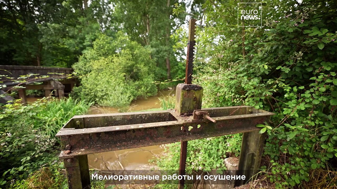 Почему Наполеон осушил болото Оркс?