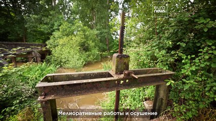 Почему Наполеон осушил болото Оркс?
