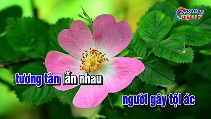Cũng Vì Chữ Tiền   Karaoke   Lý Mỹ Hưng Soạn Lời Hoài Phong   Karaoke Điệu Lý