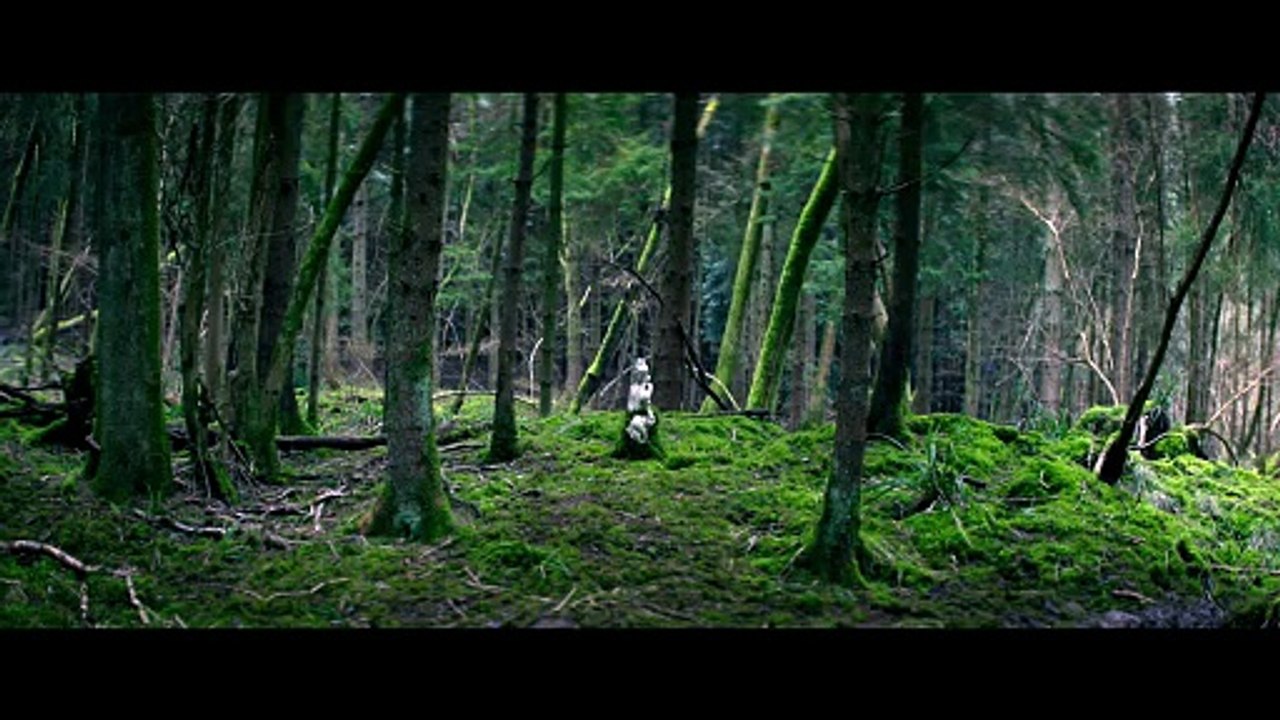 Inland - Trailer