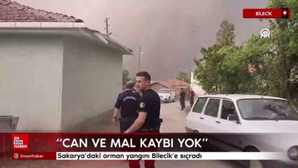 Sakarya’daki orman yangını Bilecik’e sıçradı
