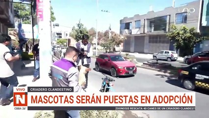 Notivision Edición Meridiano CBBA 27/06/2025