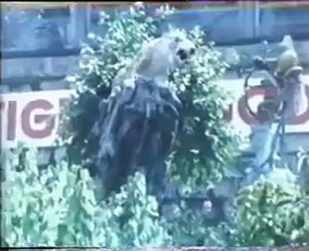 🌟🌟🌟🌟⭐El dragón luchador (Películas de Artes Marciales) ESPAÑOL