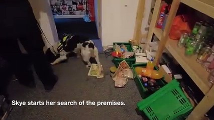 Watch dramatic footage that led to closure of Skegness Mini Market