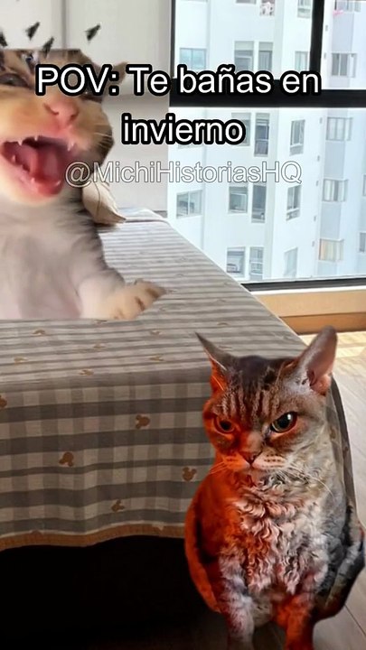 Te Bañas En Invierno