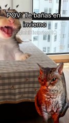 Te Bañas En Invierno
