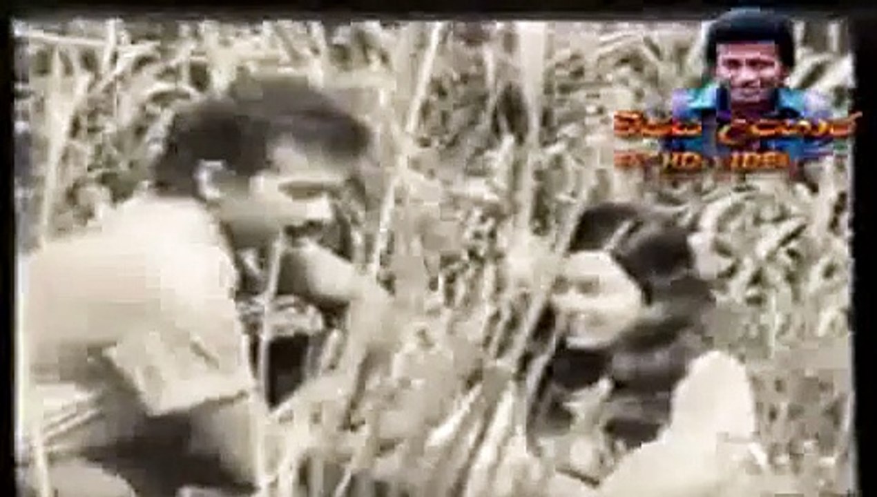 Hituwot hituwamai full movie
