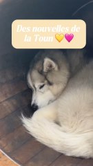 Petite forme pour Athéna… ♥️