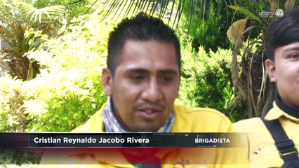 La vida regresa a la montaña oriente de Zapotlán tras los incendios