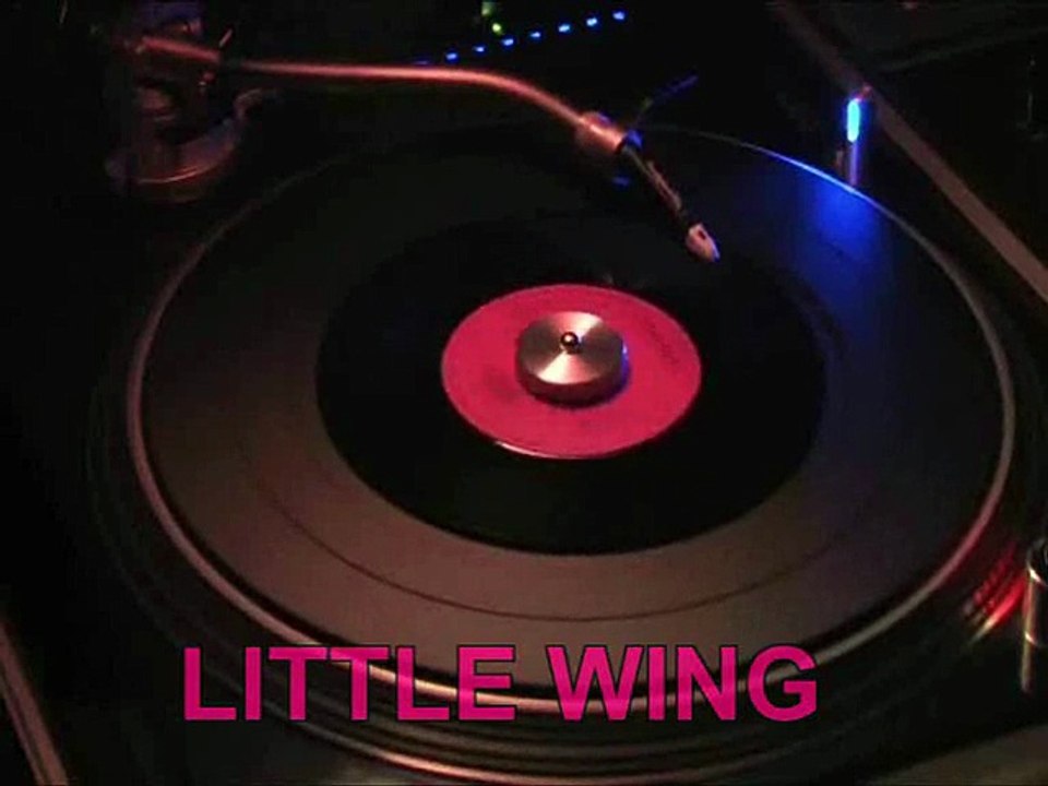 LITTLE WING  ( LEO BENNINK  ROCK / POP / INSTRUMENTAL )