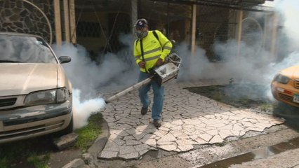 Región metropolitana registra  1,113 casos de dengue