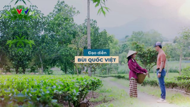 DỊU DÀNG MÀU NẮNG - TẬP 18-19 - PHIM VIỆT NAM VTV1 - DIU DANG MUA NANG