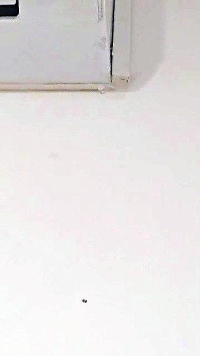 Así gotea el aire acondicionado de Bazar El Regalo