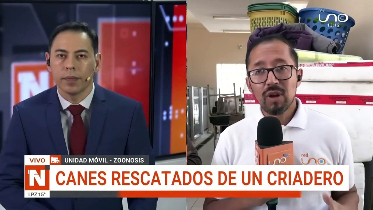 Zoonosis no devolverá a los 39 canes rescatados de criadero clandestino en la zona sur de Cochabamba