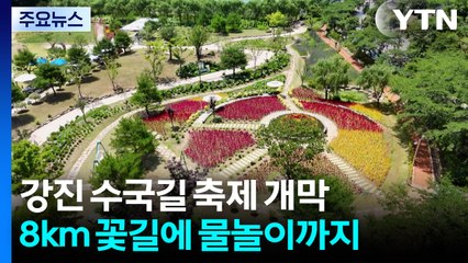 "꽃길만 걷자"...전남 강진 수국길 축제 개막 / YTN