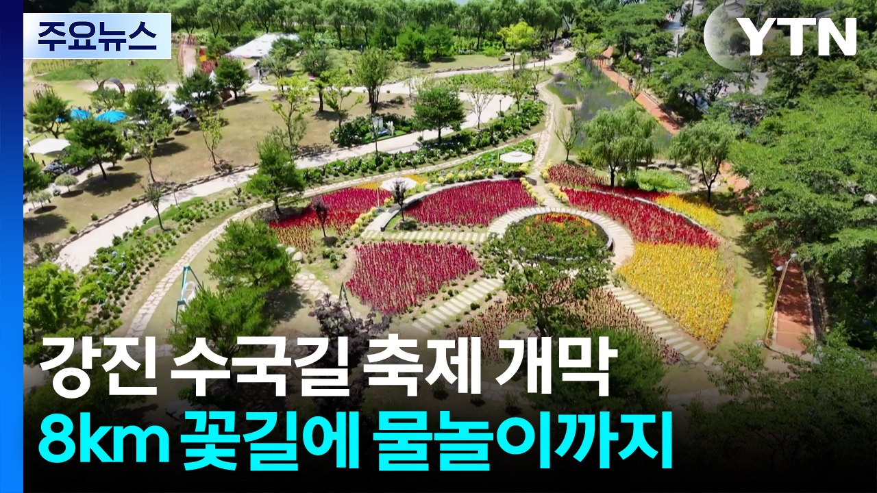 "꽃길만 걷자"...전남 강진 수국길 축제 개막 / YTN