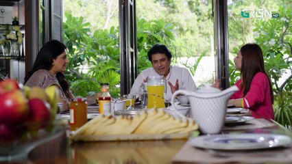 Na Tum Jano Na Hum Episode 62 (Subtitle) 26th June 2025   Hassan Khan - Hina Tariq   Green TV