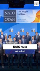 Latvian defense minister: NATO must act united