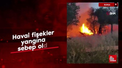 Bingöl’de buğday tarlalarında yangın