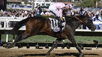 Elite Horses Clash in the Stephen Foster Stakes; Best Bets