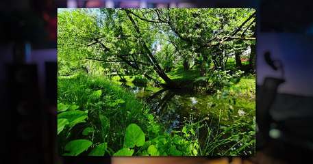 POCO F7_ МОЩНЫЙ, СТИЛЬНЫЙ И ДОСТУПНЫЙ СМАРТФОН