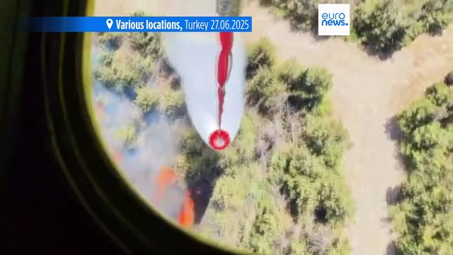 Europe scorched by heatwaves and wildfires as temperatures soar past 40°C in several nations