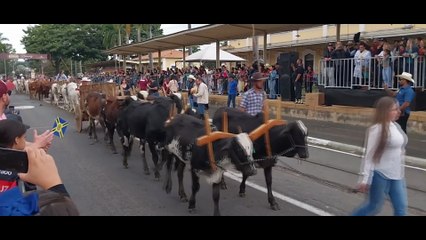 DESFILE CAVALARIA ANTONIANA 50 ANOS - JAGUARIUNA (PARTE2)