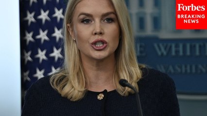 Karoline Leavitt: 'Goal' Of Immigration Enforcement Is To Deport 'Violent Criminals'