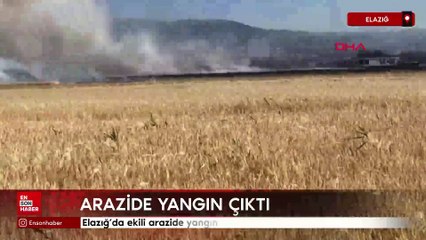 Elazığ’da ekili arazide yangın