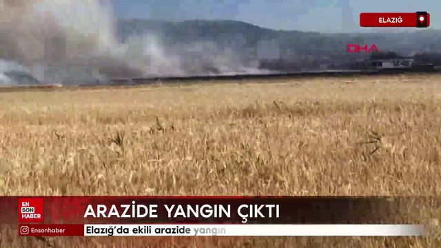 Elazığ’da ekili arazide yangın