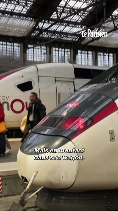 « Je voyais mon chat mourir » : une voyageuse SNCF dénonce l’absence de climatisation dans son TGV