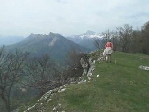 Jonier - prairie du Playnet 1508 m - Vercors