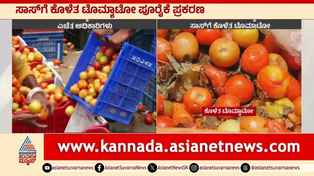 ಹಾಳಾದ ಟೊಮ್ಯಾಟೋ ಮಾರದಂತೆ ಸೂಚನೆ । Kolar Tomato । Suvarna News | Kannada News