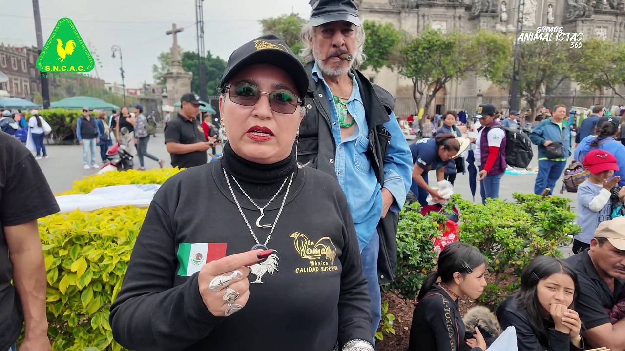 Marcha pacífica por la tauromaquia 2025