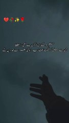 InShot_20250609_105640236