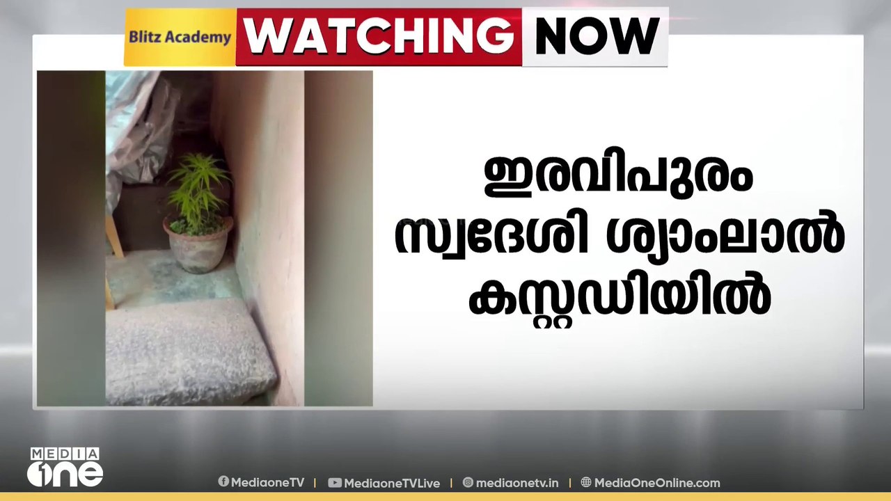കൊല്ലം നഗരത്തിൽ കഞ്ചാവ് ചെടികൾ പിടികൂടി