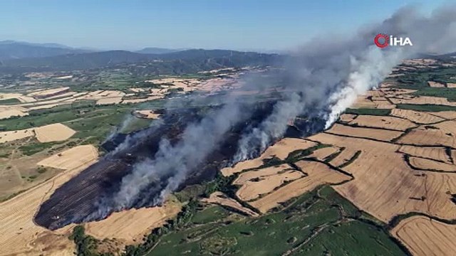 Susurluk Alevlere Teslim! Tarım Arazileri Göz Göre Göre Yandı