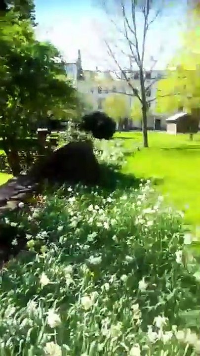 1 timmes promenad och Live på Facebook i det sköna vädret.