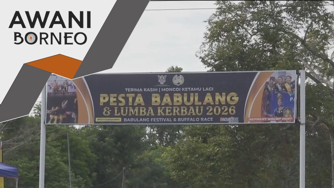 Limbang dan Lawas dijadikan pusat pengeluaran kerbau komersial