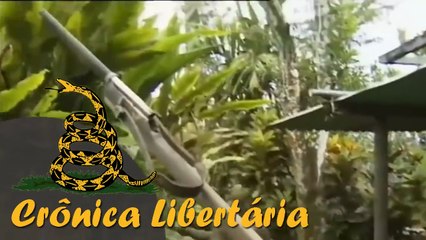 Eco-secessionistas botaram máfia estatal para correr armados com estilingues | CL - 21/07/20