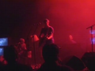 Girls in Hawaii - This farm will...