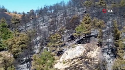 Orman yangınlarına 700 personel, 11 helikopterle müdahale sürüyor!