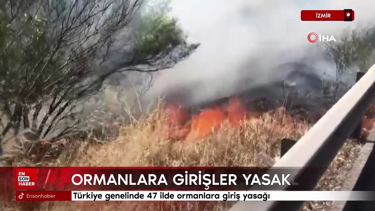 Türkiye genelinde 47 ilde ormanlara giriş yasağı