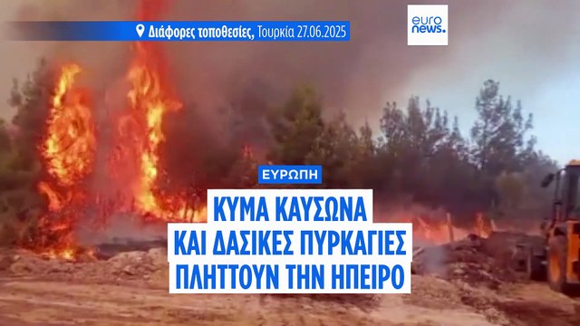 Η Ευρώπη «φλέγεται» από κύματα καύσωνα και πυρκαγιές - Πάνω από 40°C σε πολλές χώρες
