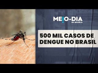 Brasil ultrapassa 500 mil casos de dengue em menos de dois meses