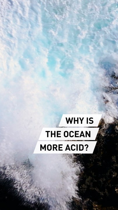 Why is the ocean becoming more acidic?