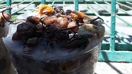 Hayvanat Bahçesi sakinleri buzlu kokteyllerle serinliyor