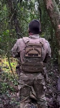 PF e BPFron apreendem mais de 1,2 tonelada de maconha escondida em mata