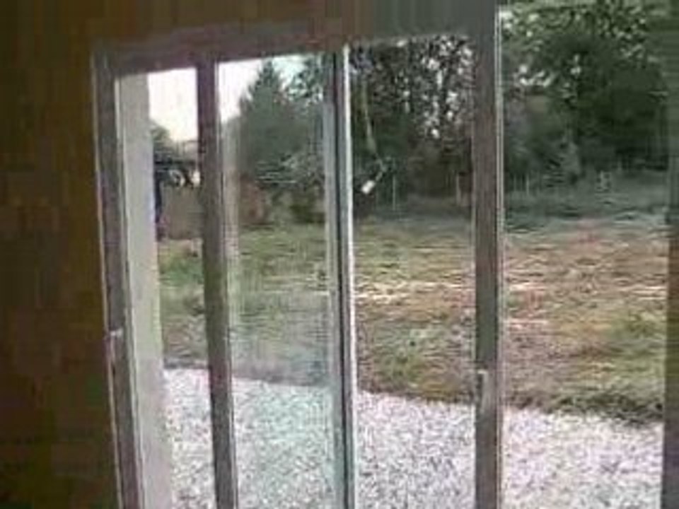 CLIP0022