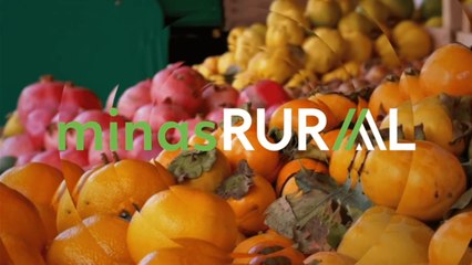 Confira a íntegra do programa Minas Rural deste sábado (28)!